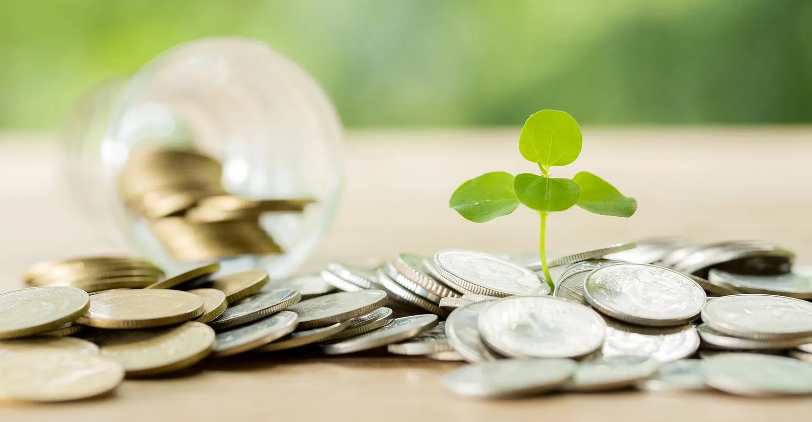 Seedling growing from a pile of coins beside a spilled glass jar, on a blurred green background.